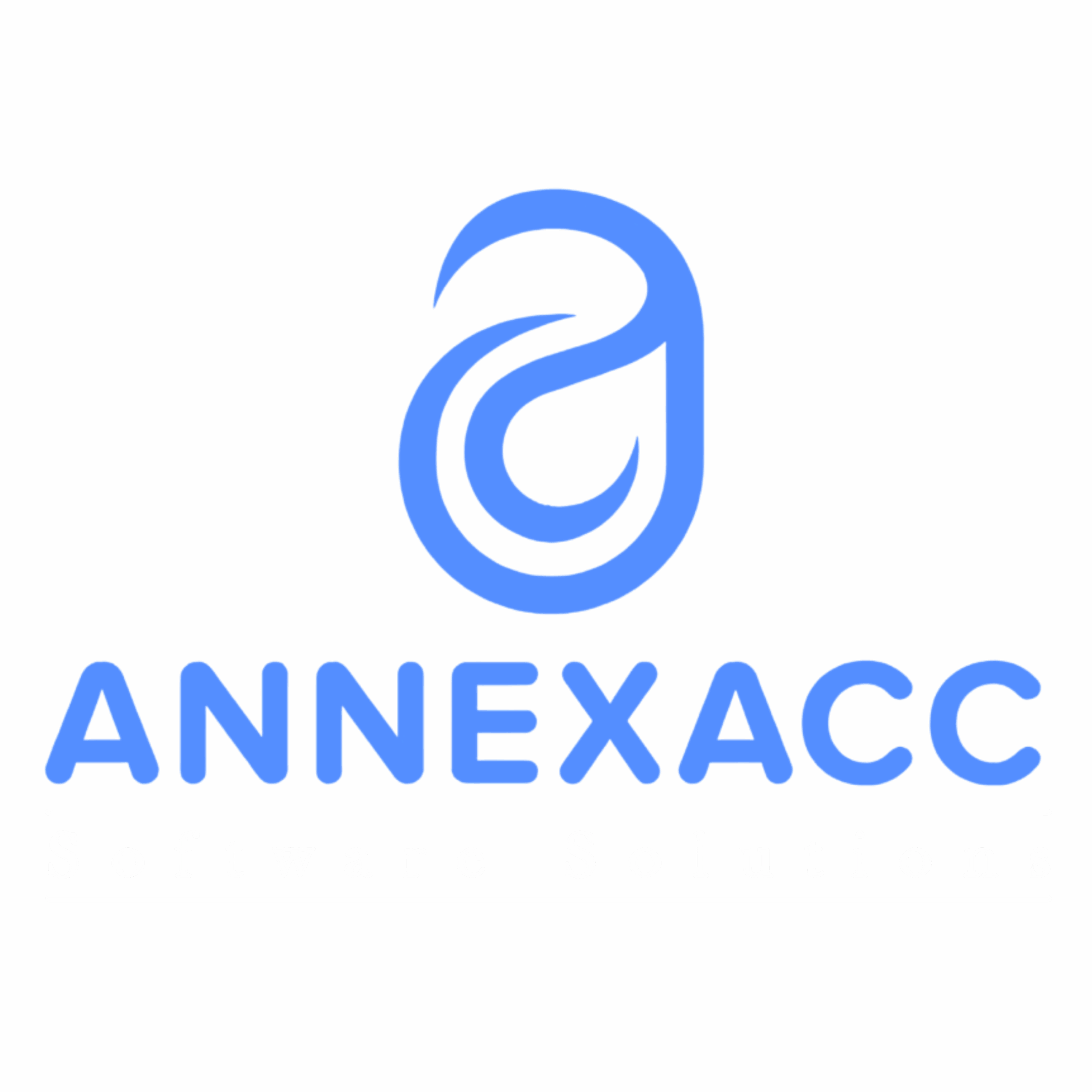 AnnexAcc Software IT Solutions
